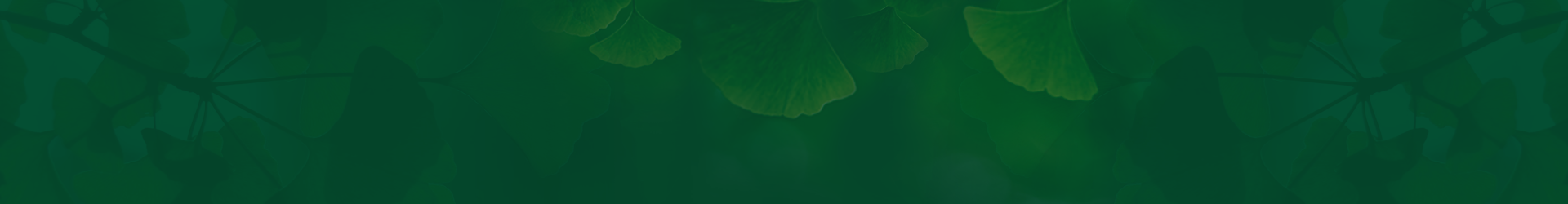 公司簡介